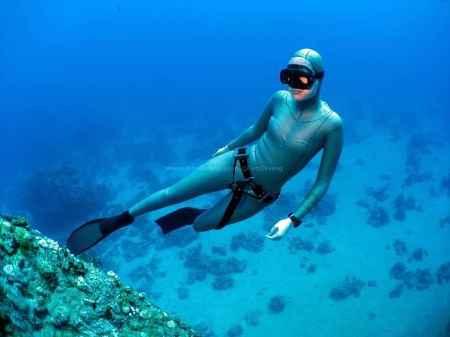 流放骑士